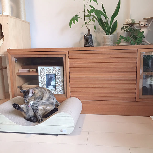 oasisさんの実例写真