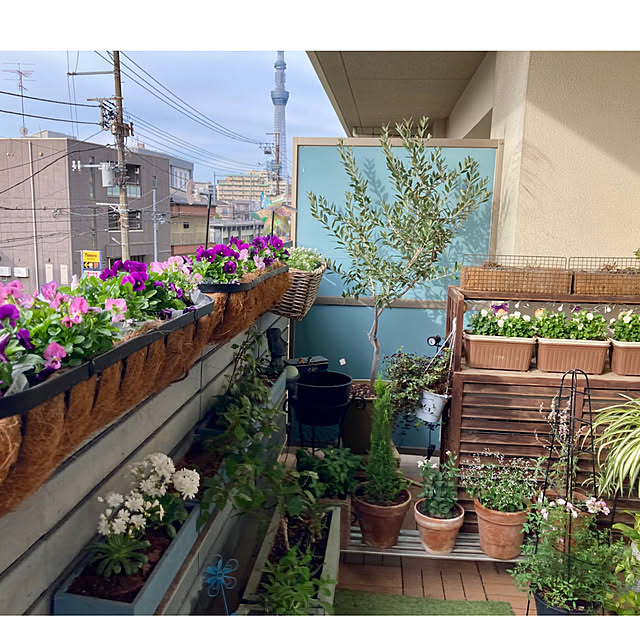 marukoさんの実例写真