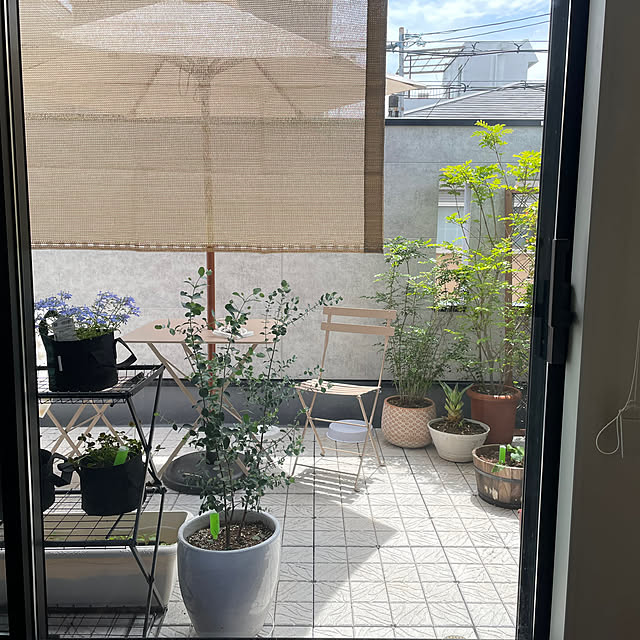 lovecofさんの実例写真