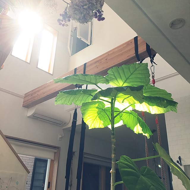 caplico71さんの実例写真