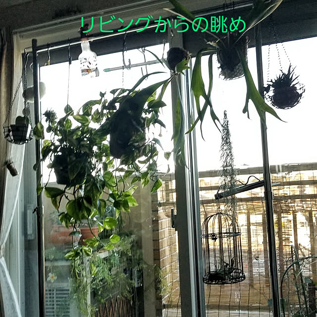 takoさんの実例写真