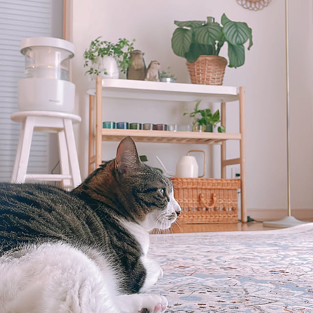milkcocoaさんの部屋