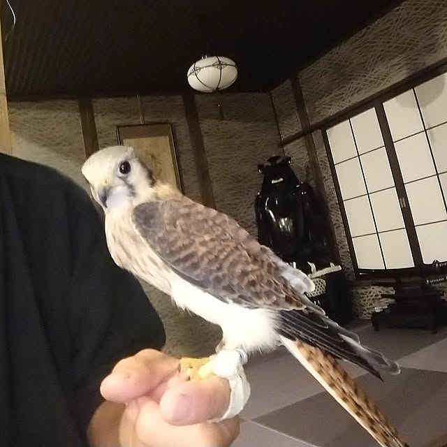 5160ksさんの実例写真