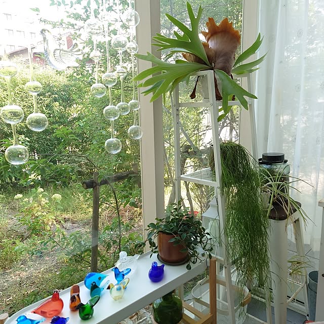 asmaさんの部屋