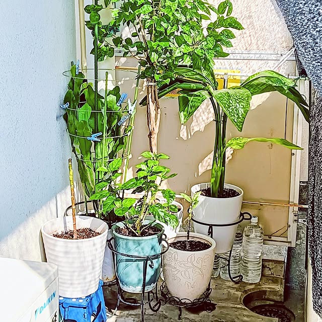 hanachanさんの実例写真