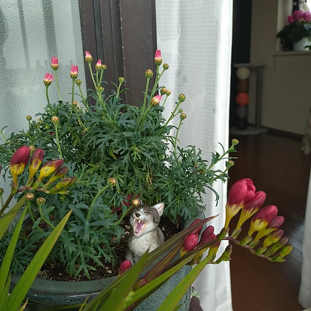NOAHさんの実例写真