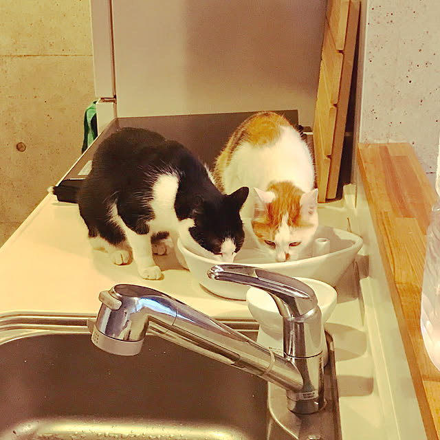 ziziguguさんの実例写真