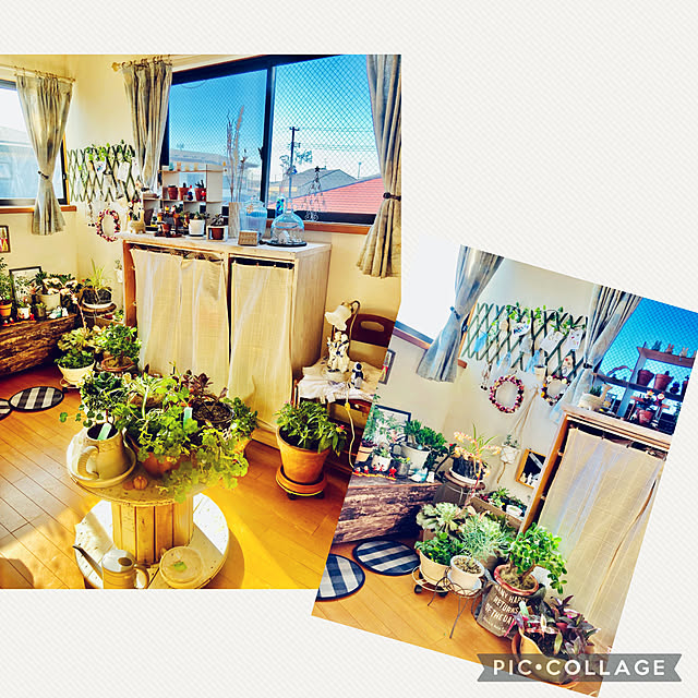 CoCo0617さんの実例写真