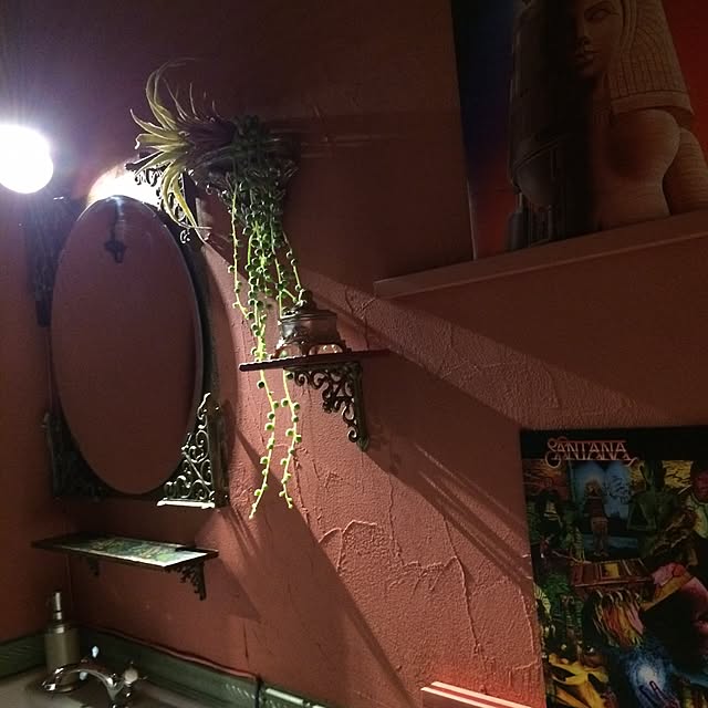 himenekoさんの実例写真