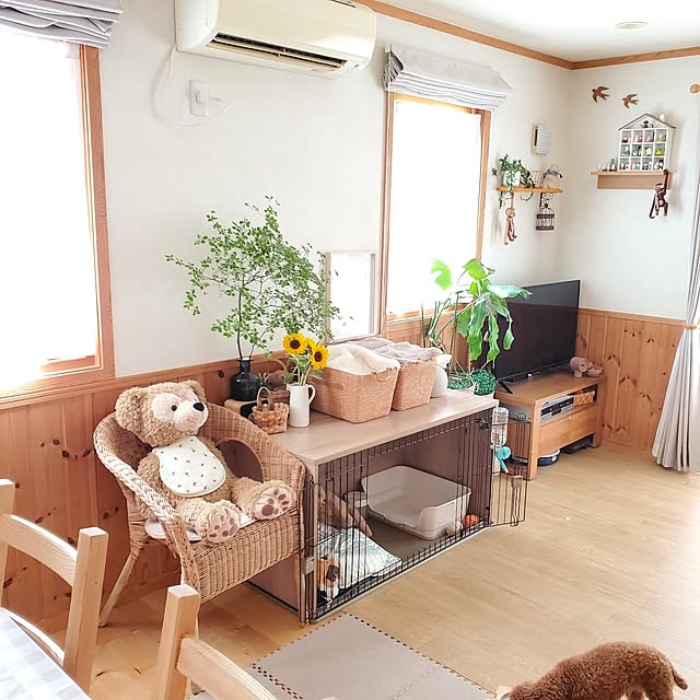 satosanさんの実例写真