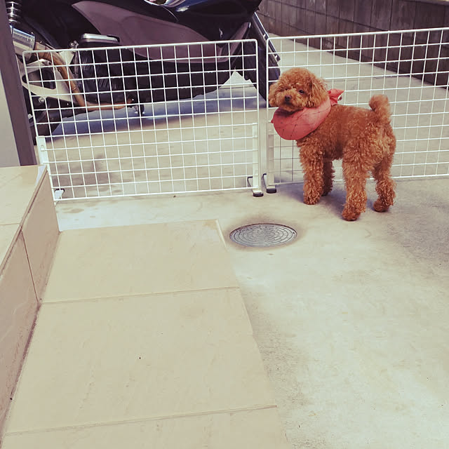 Samさんの実例写真