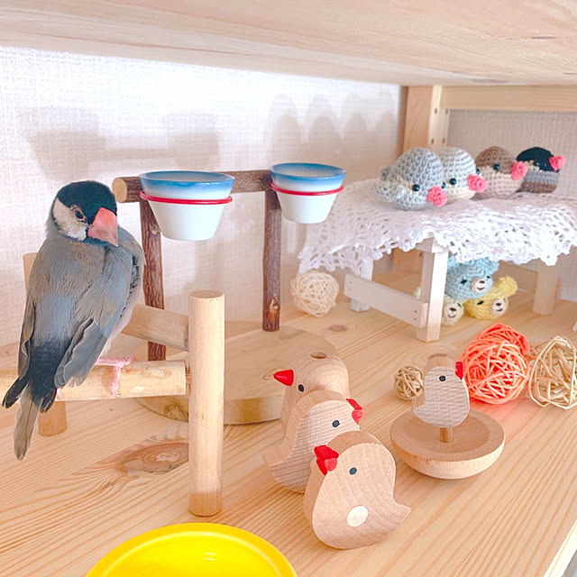 Tenさんの実例写真