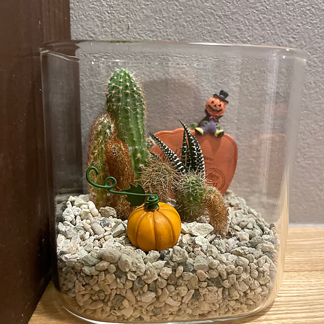 fgtomatoes0560さんの実例写真