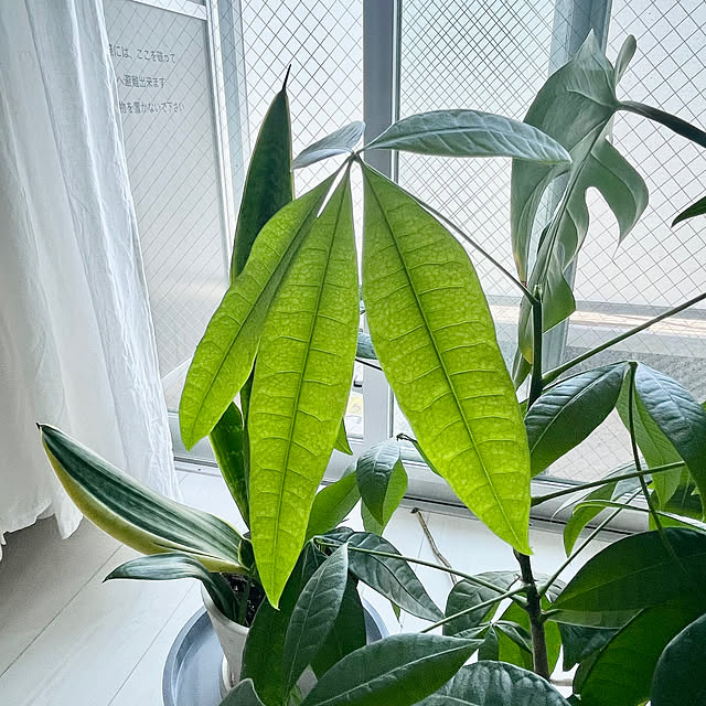 miki08さんの部屋