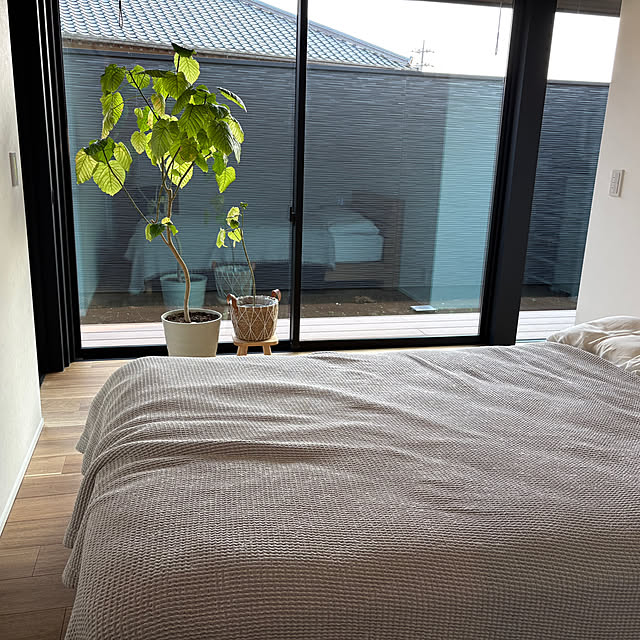 mormiさんの部屋