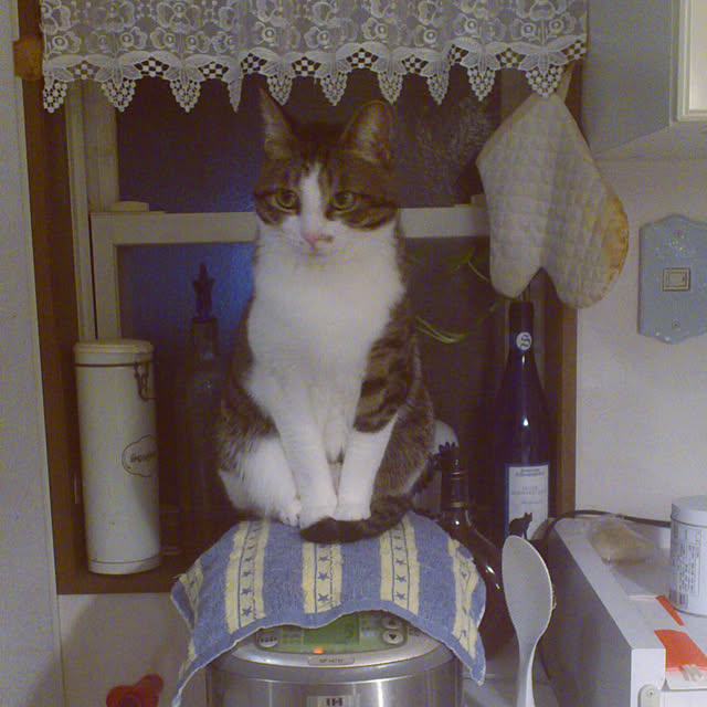 kimiさんの実例写真