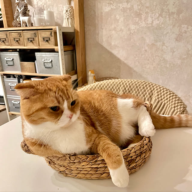 airararaさんの実例写真