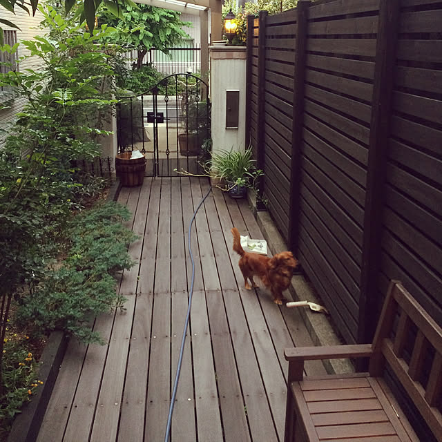 mochaさんの実例写真