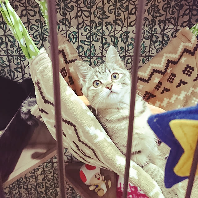 sango68さんの実例写真