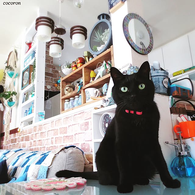 cocoronさんの実例写真
