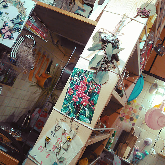 pochi3461さんの実例写真