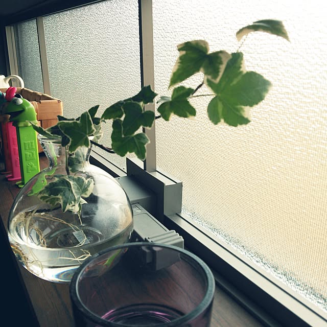 SAIさんの実例写真