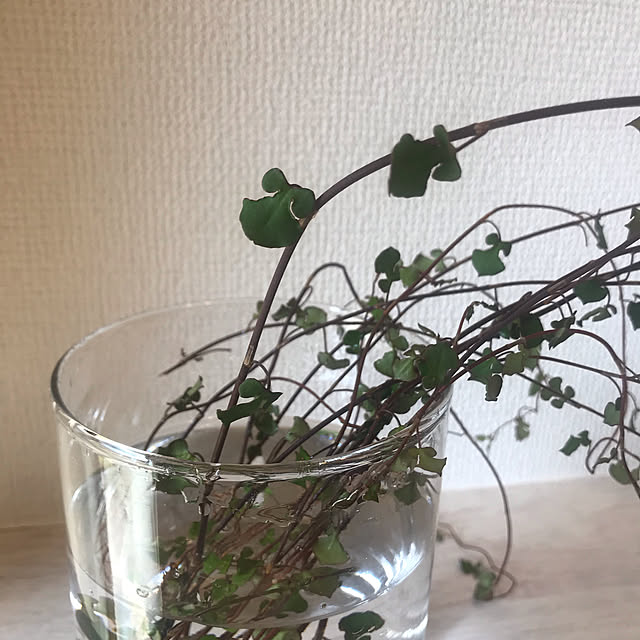 asako.10さんの実例写真