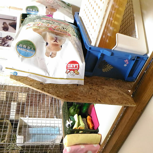 littlemomさんの実例写真