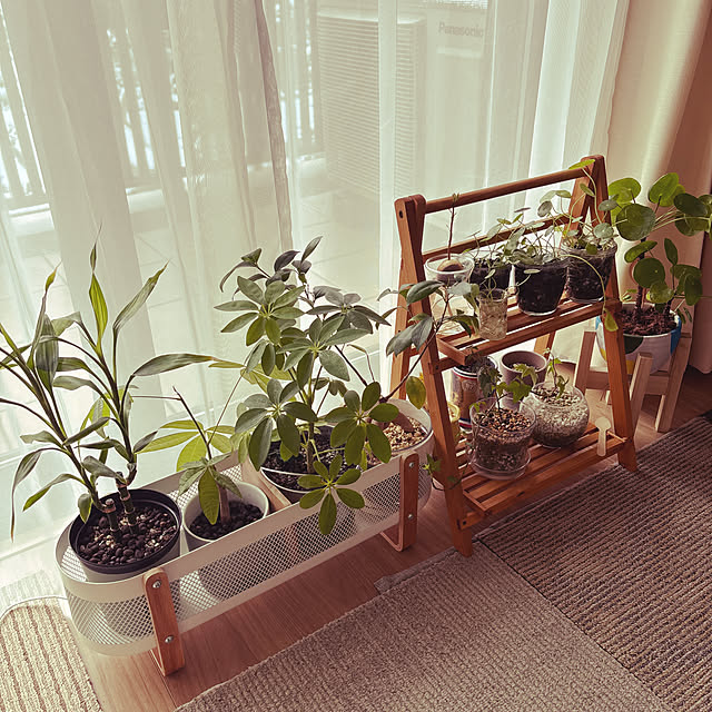 yoneさんの実例写真