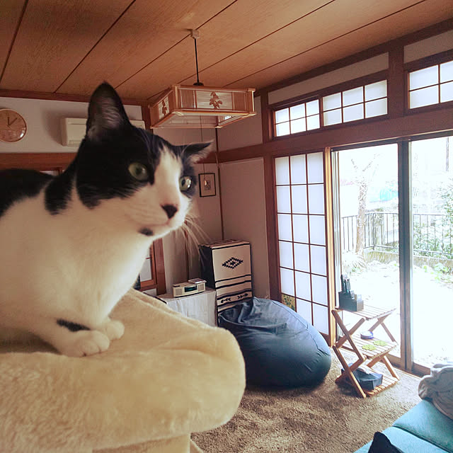 oseroさんの実例写真