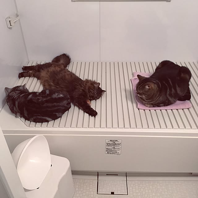 mikomaruさんの実例写真