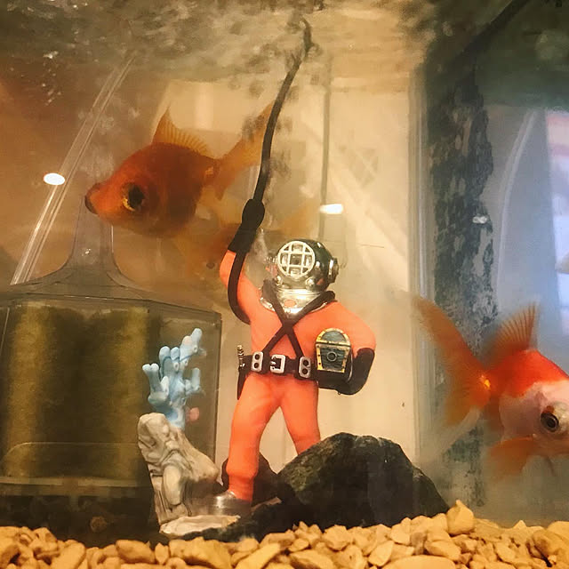 keeさんの実例写真