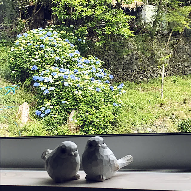 kanaさんの実例写真