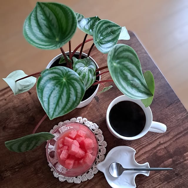 noaさんの実例写真