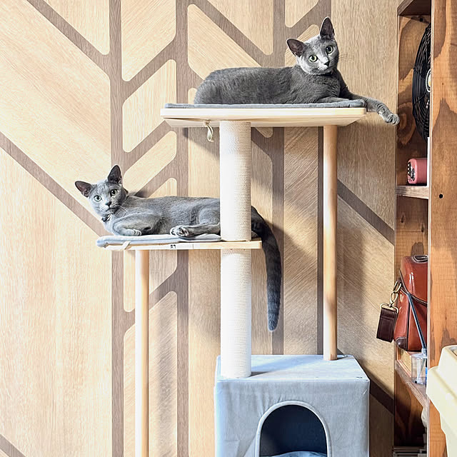 atelier_pono2022さんの実例写真