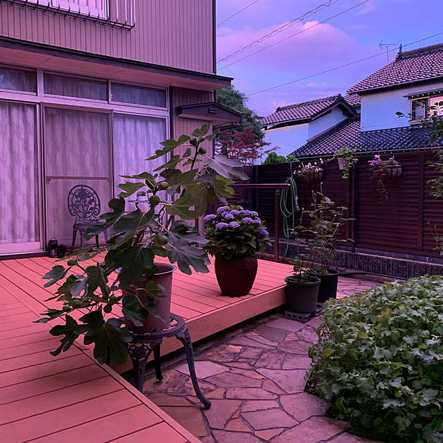 yukikkoさんの実例写真