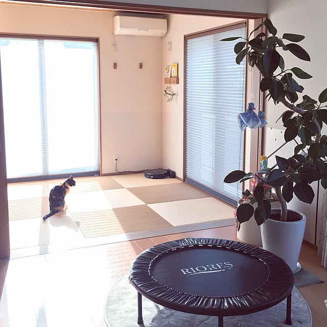 meguchiyoさんの実例写真