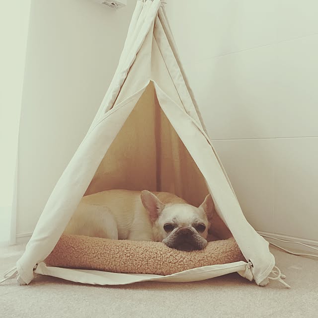 chiiさんの実例写真
