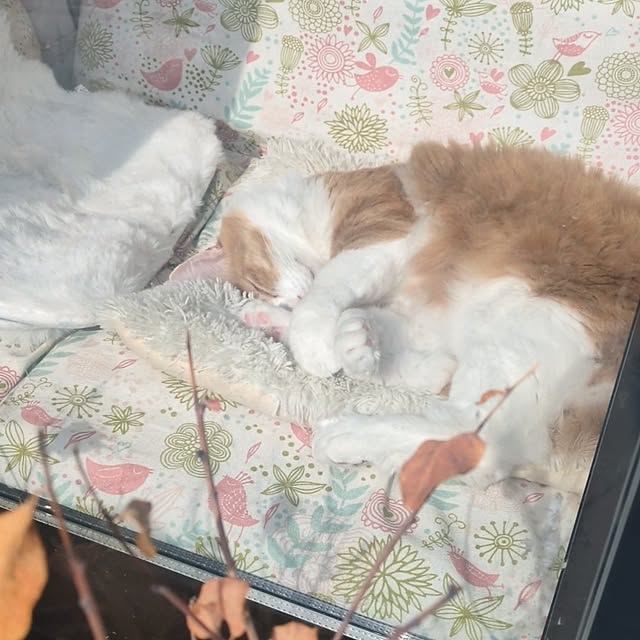 mori_6_12さんの部屋