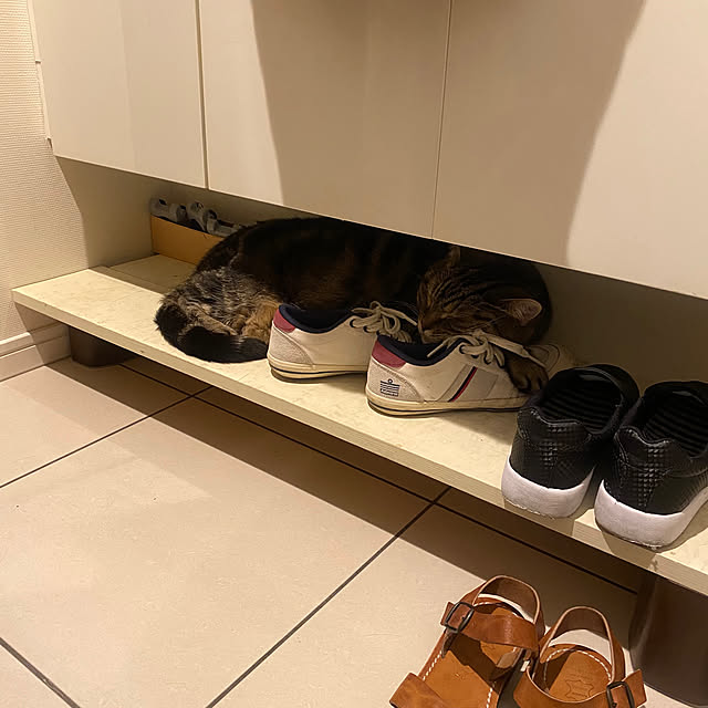 mikomaruさんの実例写真