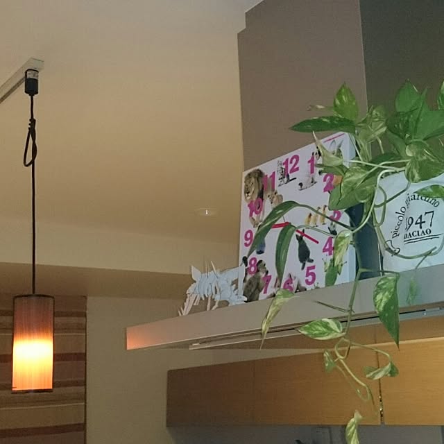 kotori2635さんの実例写真