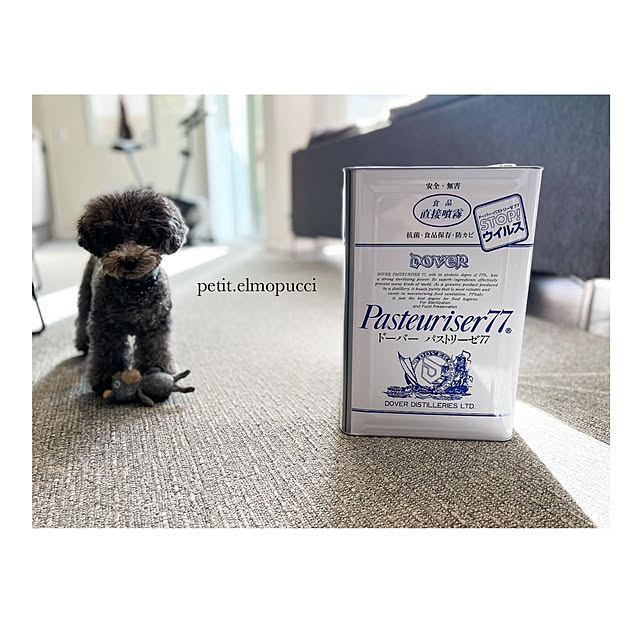 petit.elmopucciさんの実例写真