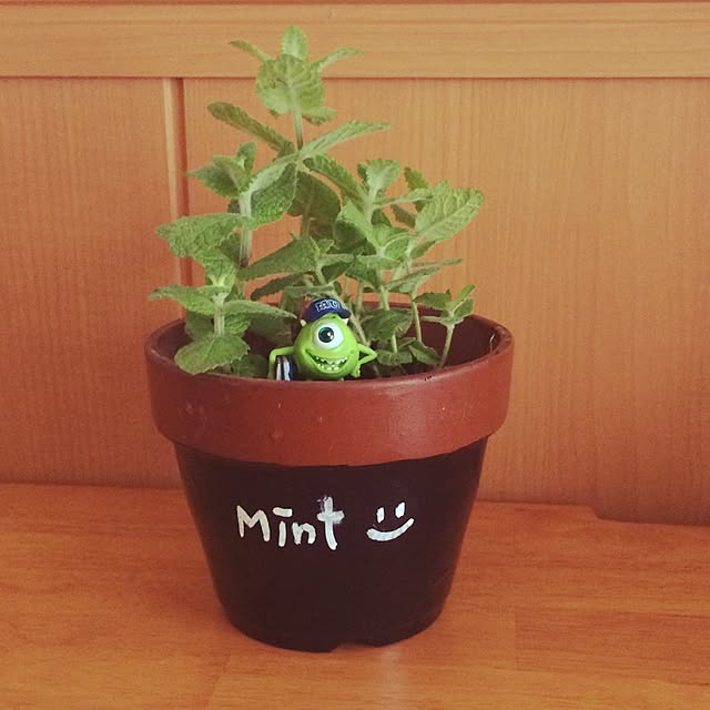 comoさんの実例写真