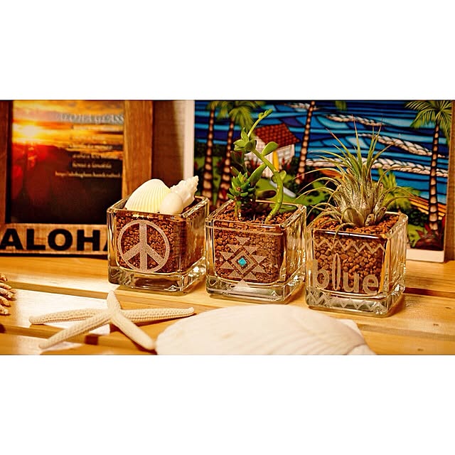 ALOHA_GLASSさんの実例写真