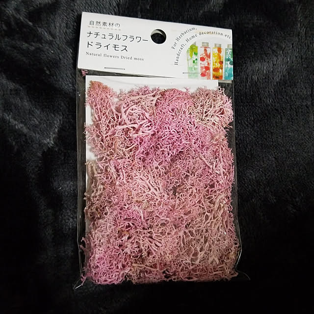 kumiさんの実例写真