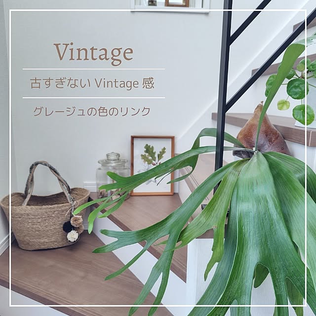 nahoさんの実例写真