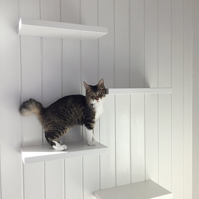 yuchiさんの実例写真