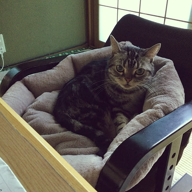 richanさんの実例写真