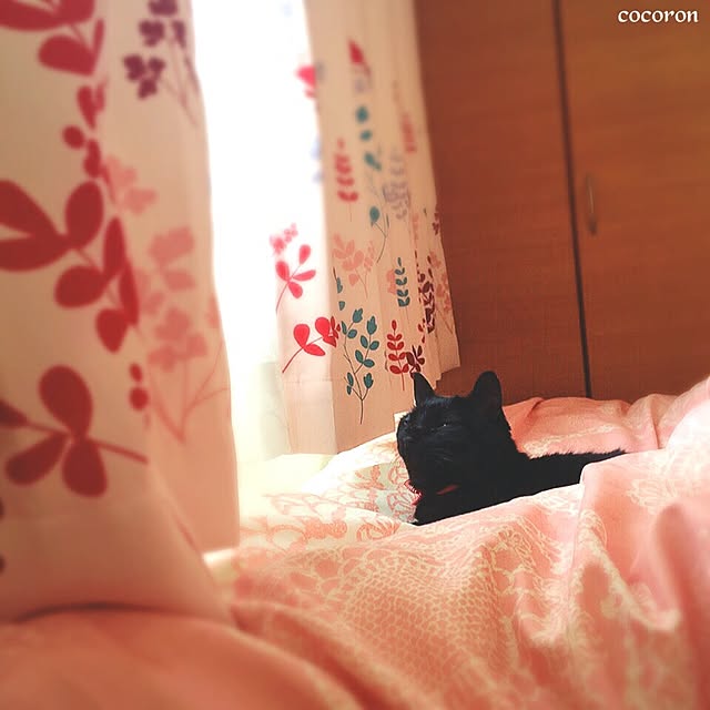 cocoronさんの実例写真