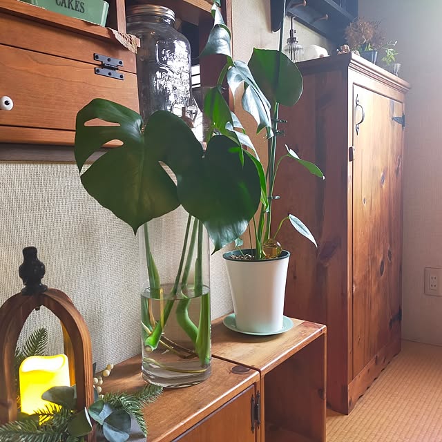 michiさんの実例写真